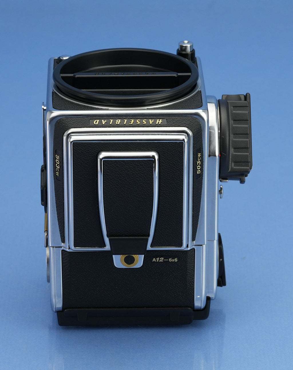 HASSELBLAD 503CW MILLENNUM GOLD TRIM KAMERA + A12 RÜCKSEITE + BOX + HELLSEITE, NEUWERTIG